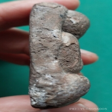 พระปิดองค์ใหญ่มาก ประมาณ 4.5 X 5 ซม.