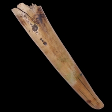 งาขนายกำจาย