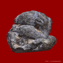 พระปิดตาพ่อท่านแก่น วัดทุ่งหล่อ  