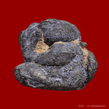 พระปิดตาพ่อท่านแก่น วัดทุ่งหล่อ  