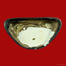 พระบูชาพระอาจารย์นำ วัดดอนศาลา รุ่นแรก พ.ศ. 2519 