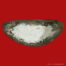 พระบูชาอาจารย์เอียด วัดดอนศาลา พ.ศ.2519