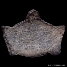 พระราหูกะลาแกะหลวงพ่อสังข์ วัดนากันตม ยุคต้น