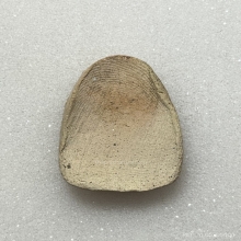 หลวงพ่อกวย พิมพ์เล็บมือ ฐานปลาดุก เนื้อผง  พ.ศ. 2515 