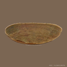 รูปเหมือนหลวงพ่อเหลือ วัดสร้อยทอง รุ่นแรก ปี ๒๔๙๓