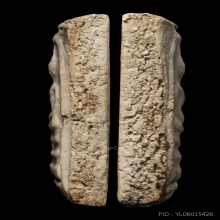 +ติดที่1สมาคม สมเด็จพิมพ์ใหญ่ หลวงปู่ลำภูลงกรต้นโพธิ์