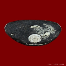 รูปหล่อหลวงพ่อรอด(เสือ)สร้างโดย หลวงพ่อสละ วัดประดู่ทรงธรรม