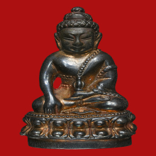 กริ่งนารายณ์แปลงรูป  ก้นทองคำ