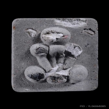 พระปิดตาพิมพ์กระดูกผีวัดโพธิ์ ล.พ.ชำนาญ วัดชินวรารามวรวิหาร