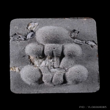 พระปิดตาพิมพ์กระดูกผีวัดโพธิ์ ล.พ.ชำนาญ วัดชินวรารามวรวิหาร