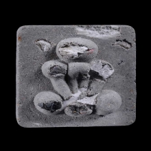 พระปิดตาพิมพ์กระดูกผีวัดโพธิ์ ล.พ.ชำนาญ วัดชินวรารามวรวิหาร