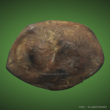 พระพิมพ์ศรีวิชัย เม็ดกระดุม พิมพ์ชะลูด จ.สุราษฎร์ธานี