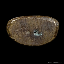 ติดที่3สมาคม หลวงพ่อเงิน วัดบางคลาน รุ่นปืนแตก