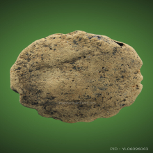 ดอกธาตุ เก้ากลุ่ม สมัยหริกุญชัย ลำพูน หรือ ดอกพิกุลโภคทรัพย์