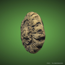 ดอกธาตุ เก้ากลุ่ม สมัยหริกุญชัย ลำพูน หรือ ดอกพิกุลโภคทรัพย์