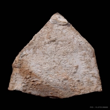 **ชิ้นส่วนพระหัก** พระกรุวัดสามปลื้ม พิมพ์สามเหลี่ยมใหญ่