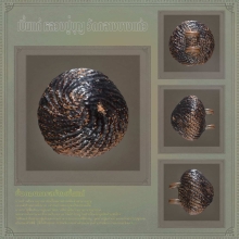 เบี้ยแก้ หลวงปู่บุญ วัดกลางบางแก้ว