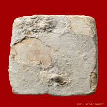 หลวงพ่อปาน พิมพ์ทรงหนุมาน วัดคู้สลอด