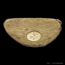 รูปหล่อโบราณนื้อช้อนส้อม หลวงพ่อสงฆ์ วัดเจ้าฟ้าศาลาลอย