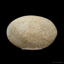 ลูกอมมหาเสน่ห์ หลวงพ่อสงวน วัดไผ่พันมือ พร้อมบัตรสมาคม