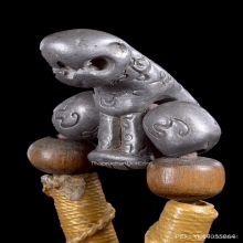 เสือหลวงพ่อโชติ วัดวชิราลงกรณ์ จ.นครราชสีมา