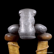 เสือหลวงพ่อโชติ วัดวชิราลงกรณ์ จ.นครราชสีมา