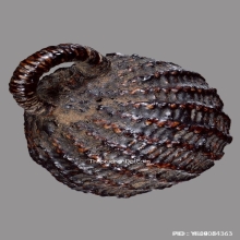 ลูกอมมหาเสน่ห์หลวงพ่อปลอด วัดในปากทะเล จ.เพชรบุรี