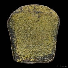 พระนาคปรกใบมะขาม หลวงพ่อเส่ง วัดกัลยาฯ ปี2505 จ.กรุงเทพฯ