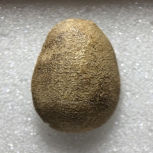 พระวันทาเสมาหลวงปู่โต๊ะ พิมพ์ใหญ่ ชุดแช่น้ำมนต์ 13 พิมพ์แรก