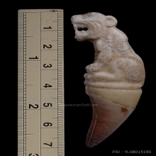 เสือเขี้ยวเต็ม หลวงพ่อคงวัดวังสรรพรสยุคต้น จี๊ดๆเลยครับ