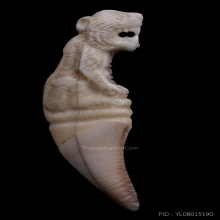 เสือเขี้ยวเต็ม หลวงพ่อคงวัดวังสรรพรสยุคต้น จี๊ดๆเลยครับ