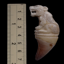 เสือเขี้ยวเต็ม หลวงพ่อคงวัดวังสรรพรสยุคต้น จี๊ดๆเลยครับ