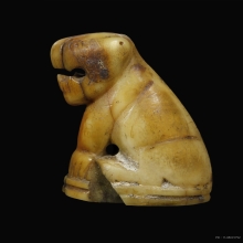 เสือหลวงพ่อปานวัดคลองด่าน เนื้อเขี้ยว