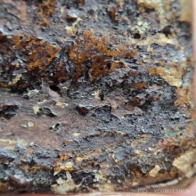 พระซุ้มกอ พิมพ์ใหญ่ไม่มีกนก เนื้อดำ