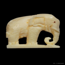 ช้าง งาแกะ วัดโพธิสัมพันธ์ หลวงปู่ทิม วัดละหารไร่ ปลุกเสก