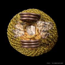 เบี้ยแก้ หลวงปู่เจือ วัดกลางบางแก้ว