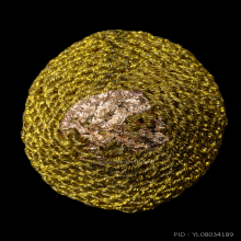 เบี้ยแก้ หลวงปู่เจือ วัดกลางบางแก้ว