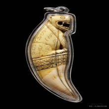 เขี้ยวเสือหลวงพ่อนกวัดสังกะสี