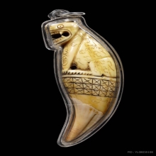 เขี้ยวเสือหลวงพ่อนกวัดสังกะสี