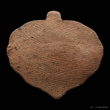 พระใบโพธิ์หลวงพ่อลี วัดอโศการาม