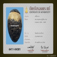 หมากทุยหลวงปู่เอี่ยม วัดหนัง กทม พร้อมบัตรรับรอง1ใบ