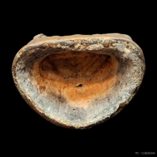 พระพุทธรูปเชียงแสน (ลังกา)