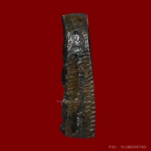 เหรียญหล่อเจ้าสัวน้อย เจ้าคุณโพธิ์ วัดชัยพฤกษ์มาลา