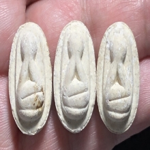 พระปิดตาเม็ดบัวหลวง เนื้อผงเกสร หลวงพ่อยิด ปลุกเสก 3 ไตรมาส 