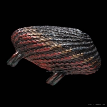 เบี้ยแก้หลวงปู่บุญวัดกลางบางแก้ว