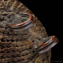 เบี้ยแก้หลวงปู่บุญวัดกลางบางแก้ว