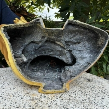 พระบูชาหลวงปู่ทวด จ. ปัตตานี ปลุกเสก วันที่ 25 ธันวาคม ปี 38