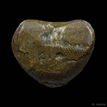 พระปิดตาหลวงพ่อดิษฐ์ ออกวัดปรางค์หมู่