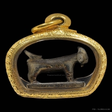 แพะหลวงพ่ออ่ำ วัดหนองกระบอก จ.ระยอง 