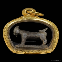 แพะหลวงพ่ออ่ำ วัดหนองกระบอก จ.ระยอง 